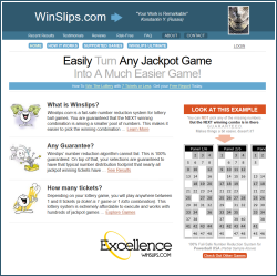 Winslips Lottery System Review